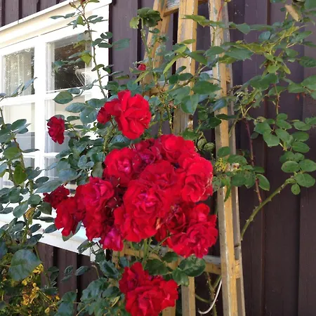 Bygarden-3